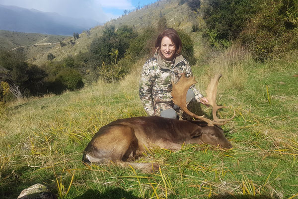 New Zealand Fallow Deer Hunting