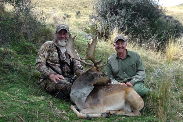 New Zealand Fallow Deer Hunting