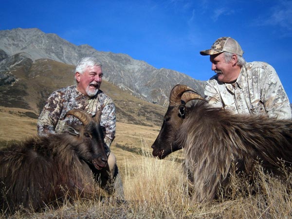 new zealand guided tahr hunting tours