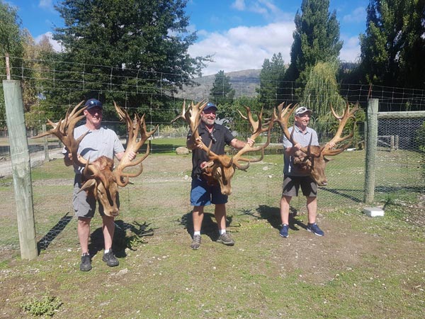 Guided Red Stag Hunting Tours
