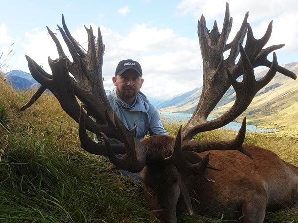 New Zealand Red Stag Hunting