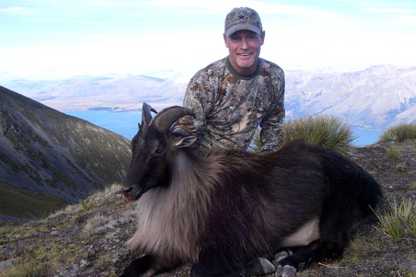 New Zealand Tahr Hunting