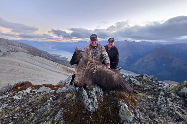 New Zealand Tahr Hunting