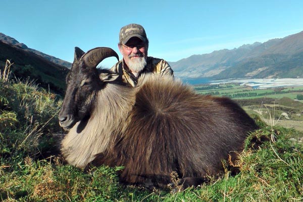 Guided Tahr Hunting Tours